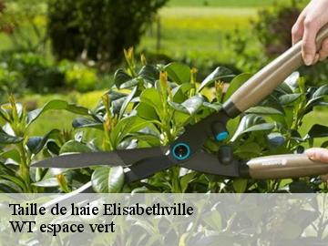 Taille de haie  elisabethville-78410 WT espace vert 