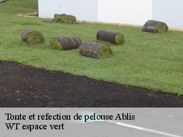 Tonte et refection de pelouse  ablis-78660 WT espace vert 