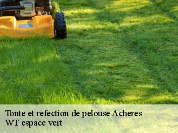 Tonte et refection de pelouse  acheres-78260 WT espace vert 