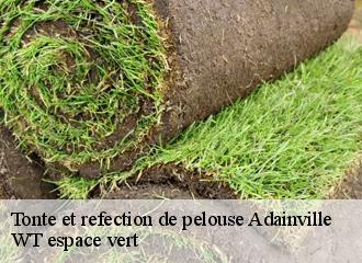 Tonte et refection de pelouse  adainville-78113 WT espace vert 