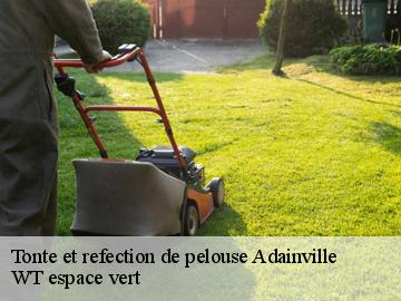 Tonte et refection de pelouse  adainville-78113 WT espace vert 