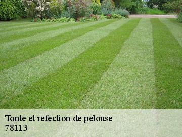 Tonte et refection de pelouse  adainville-78113 WT espace vert 