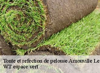 Tonte et refection de pelouse  arnouville-les-mantes-78790 WT espace vert 