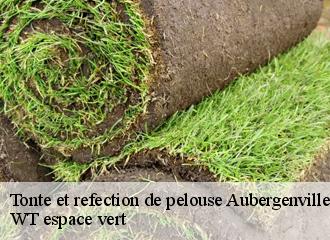 Tonte et refection de pelouse  aubergenville-78410 WT espace vert 