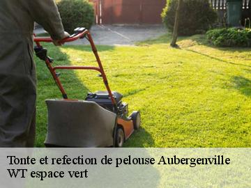 Tonte et refection de pelouse  aubergenville-78410 WT espace vert 