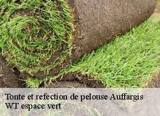 Tonte et refection de pelouse  auffargis-78610 WT espace vert 