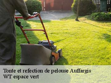 Tonte et refection de pelouse  auffargis-78610 WT espace vert 