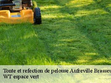 Tonte et refection de pelouse  aufreville-brasseuil-78930 WT espace vert 