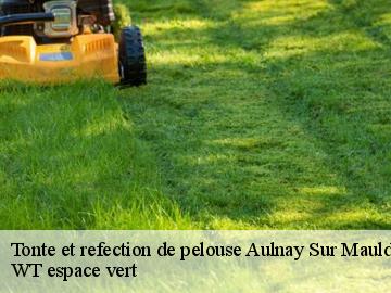 Tonte et refection de pelouse  aulnay-sur-mauldre-78126 WT espace vert 