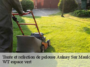 Tonte et refection de pelouse  aulnay-sur-mauldre-78126 WT espace vert 