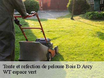 Tonte et refection de pelouse  bois-d-arcy-78390 WT espace vert 