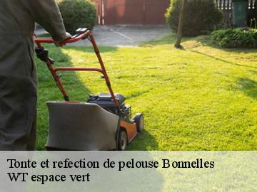 Tonte et refection de pelouse  bonnelles-78830 WT espace vert 