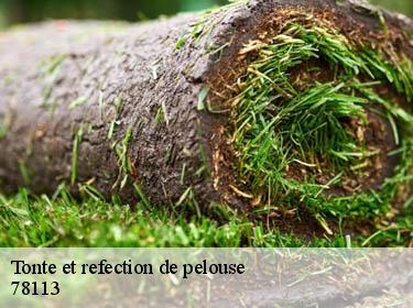 Tonte et refection de pelouse  bourdonne-78113 WT espace vert 