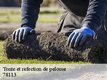 Tonte et refection de pelouse  bourdonne-78113 WT espace vert 