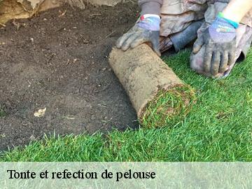 Tonte et refection de pelouse  bourdonne-78113 WT espace vert 