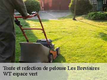 Tonte et refection de pelouse  les-breviaires-78610 WT espace vert 