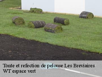 Tonte et refection de pelouse  les-breviaires-78610 WT espace vert 