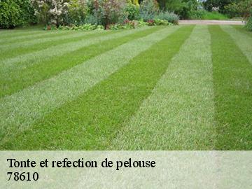 Tonte et refection de pelouse  les-breviaires-78610 WT espace vert 