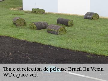 Tonte et refection de pelouse  brueil-en-vexin-78440 WT espace vert 