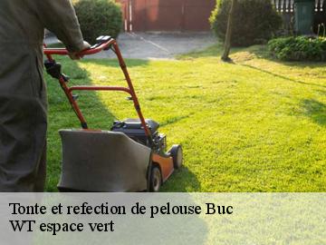 Tonte et refection de pelouse  buc-78530 WT espace vert 