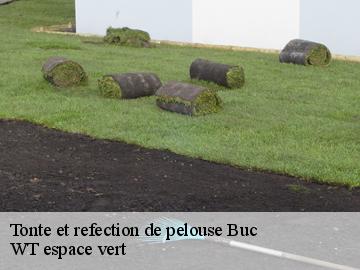 Tonte et refection de pelouse  buc-78530 WT espace vert 