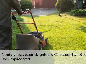 Tonte et refection de pelouse  chaufour-les-bonnieres-78270 WT espace vert 