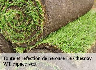 Tonte et refection de pelouse  le-chesnay-78150 WT espace vert 