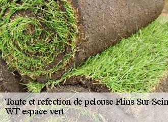 Tonte et refection de pelouse  flins-sur-seine-78410 WT espace vert 