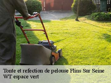 Tonte et refection de pelouse  flins-sur-seine-78410 WT espace vert 