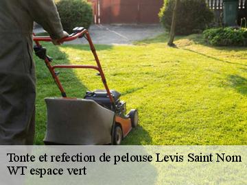 Tonte et refection de pelouse  levis-saint-nom-78320 WT espace vert 