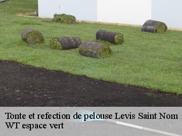 Tonte et refection de pelouse  levis-saint-nom-78320 WT espace vert 