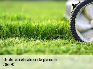 Tonte et refection de pelouse  78600