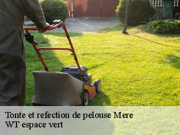 Tonte et refection de pelouse  mere-78490 WT espace vert 