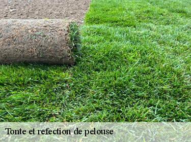 Tonte et refection de pelouse  millemont-78940 Archange Paysagiste 78