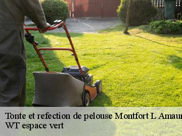 Tonte et refection de pelouse  montfort-l-amaury-78490 WT espace vert 