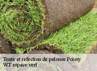 Tonte et refection de pelouse  poissy-78300 WT espace vert 