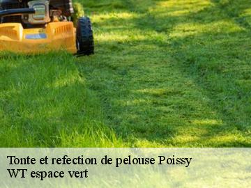 Tonte et refection de pelouse  poissy-78300 WT espace vert 