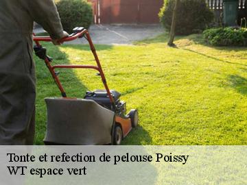 Tonte et refection de pelouse  poissy-78300 WT espace vert 