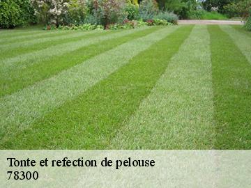 Tonte et refection de pelouse  poissy-78300 WT espace vert 