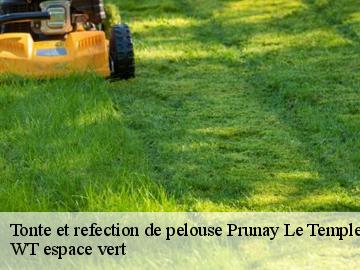 Tonte et refection de pelouse  prunay-le-temple-78910 WT espace vert 