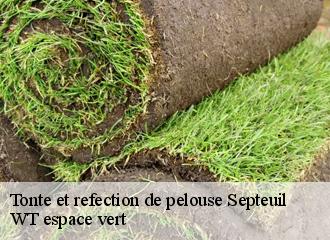 Tonte et refection de pelouse  septeuil-78790 WT espace vert 