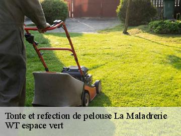 Tonte et refection de pelouse  la-maladrerie-78300 WT espace vert 