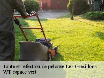 Tonte et refection de pelouse  les-gresillons-78955 WT espace vert 