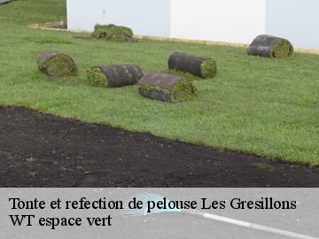 Tonte et refection de pelouse  les-gresillons-78955 WT espace vert 