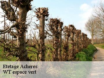 Etetage  acheres-78260 WT espace vert 