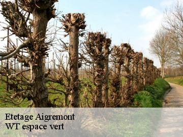 Etetage  aigremont-78240 WT espace vert 