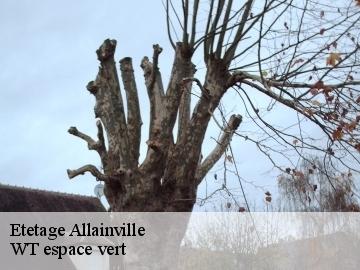 Etetage  allainville-78660 WT espace vert 