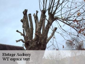 Etetage  andresy-78570 WT espace vert 