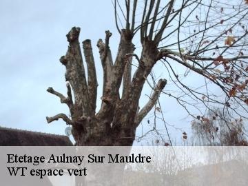 Etetage  aulnay-sur-mauldre-78126 WT espace vert 