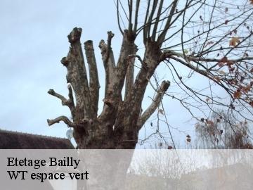 Etetage  bailly-78870 WT espace vert 